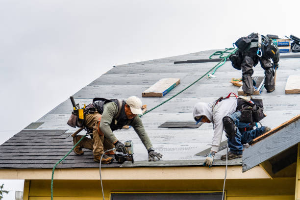 Professional Storm Damage Roof Repair technician working in Alma, CO